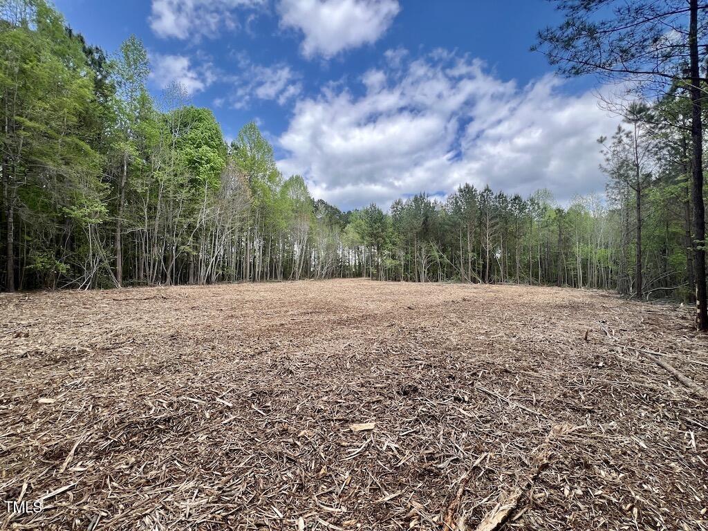 0 Red Road Nashville, NC 27856 - Photo 4 of 45 3