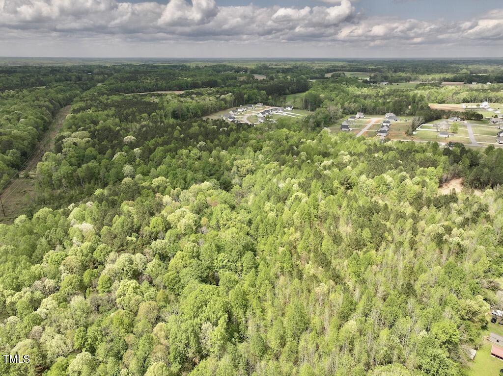 0 Red Road Nashville, NC 27856 - Photo 42 of 45 42