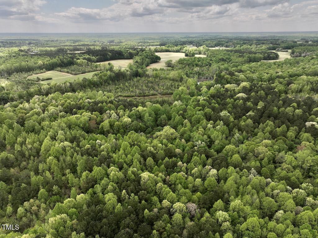 0 Red Road Nashville, NC 27856 - Photo 44 of 45 44