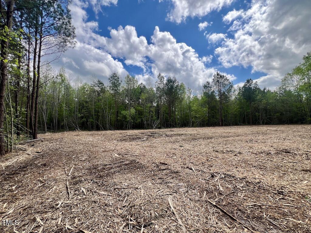 0 Red Road Nashville, NC 27856 - Photo 5 of 45 4