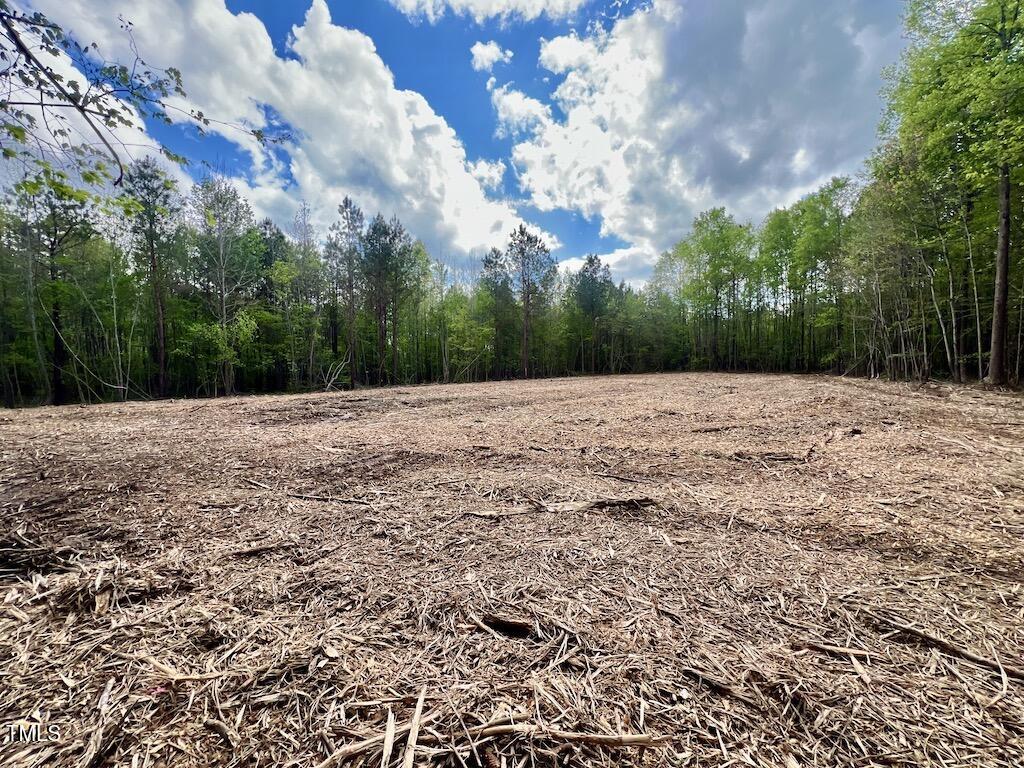 0 Red Road Nashville, NC 27856 - Photo 7 of 45 6