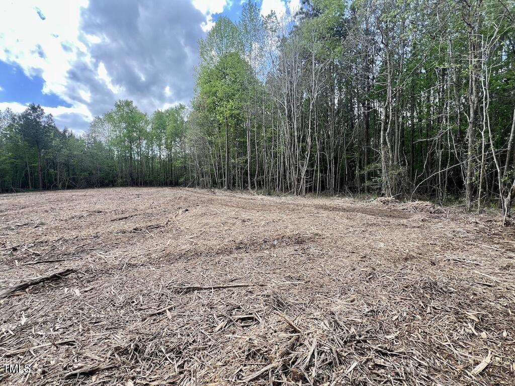 0 Red Road Nashville, NC 27856 - Photo 8 of 45 7