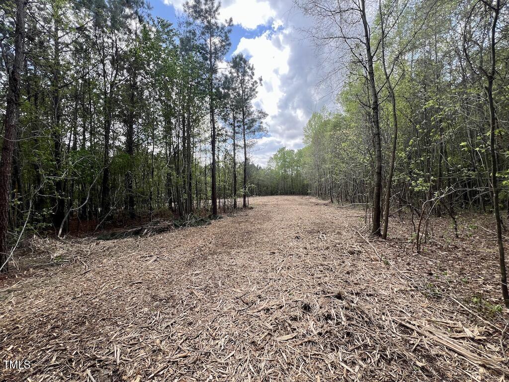 0 Red Road Nashville, NC 27856 - Photo 9 of 45 8