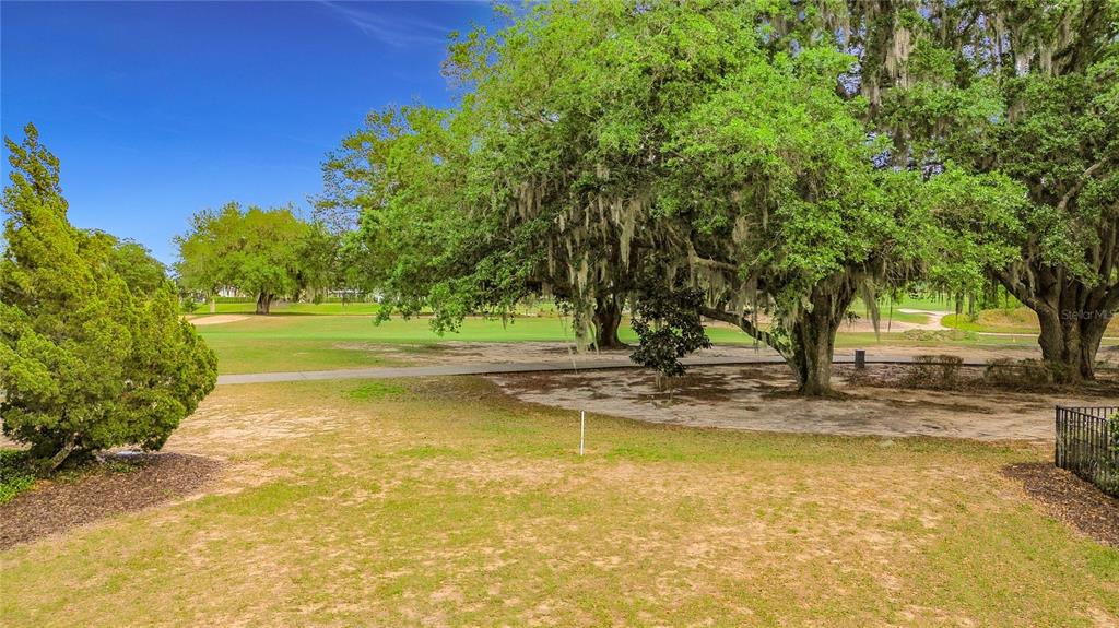 1233 Radiant Street Reunion, FL 34747 - Photo 3 of 18 a view of a yard with swimming trees