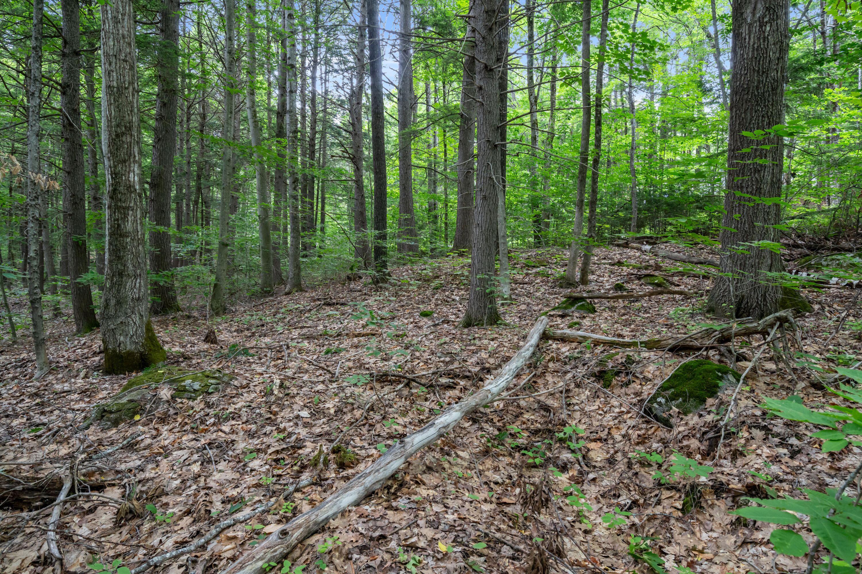 Lot 1-8 Watson Hill Road Limerick, ME 04048 - Photo 23 of 26 DSC00967
