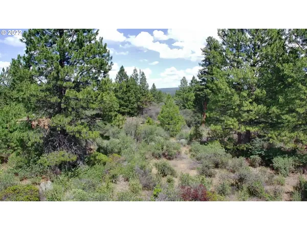 a open area with view of trees