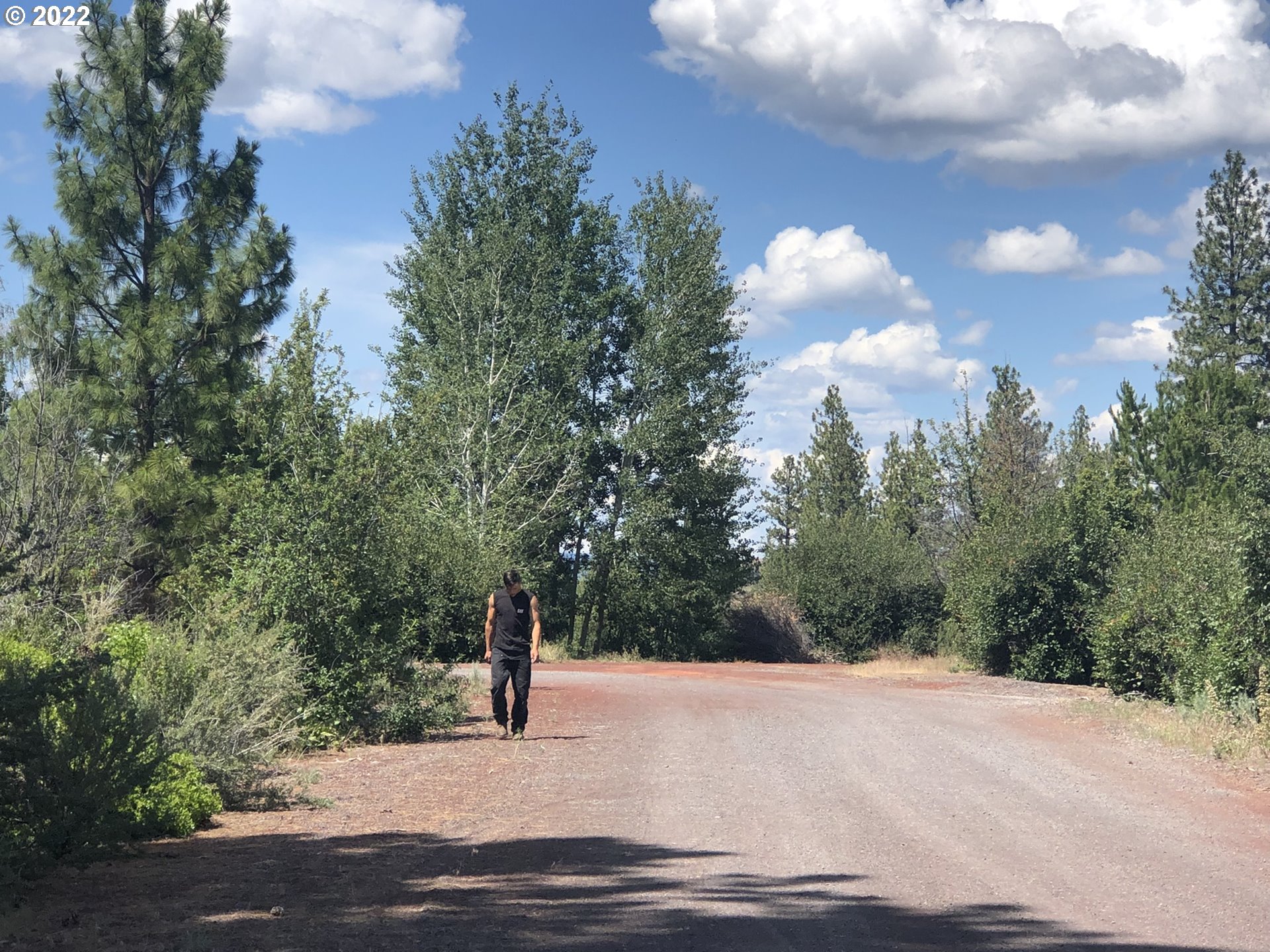 David Street, Unit 3 Chiloquin, OR 97624 - Photo 5 of 12 a view of a street with a trees in the background