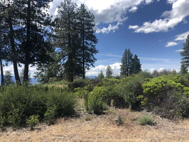 $50,000 | David Street, Unit 3, Chiloquin, OR 97624