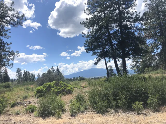 $50,000 | David Street, Unit 3, Chiloquin, OR 97624