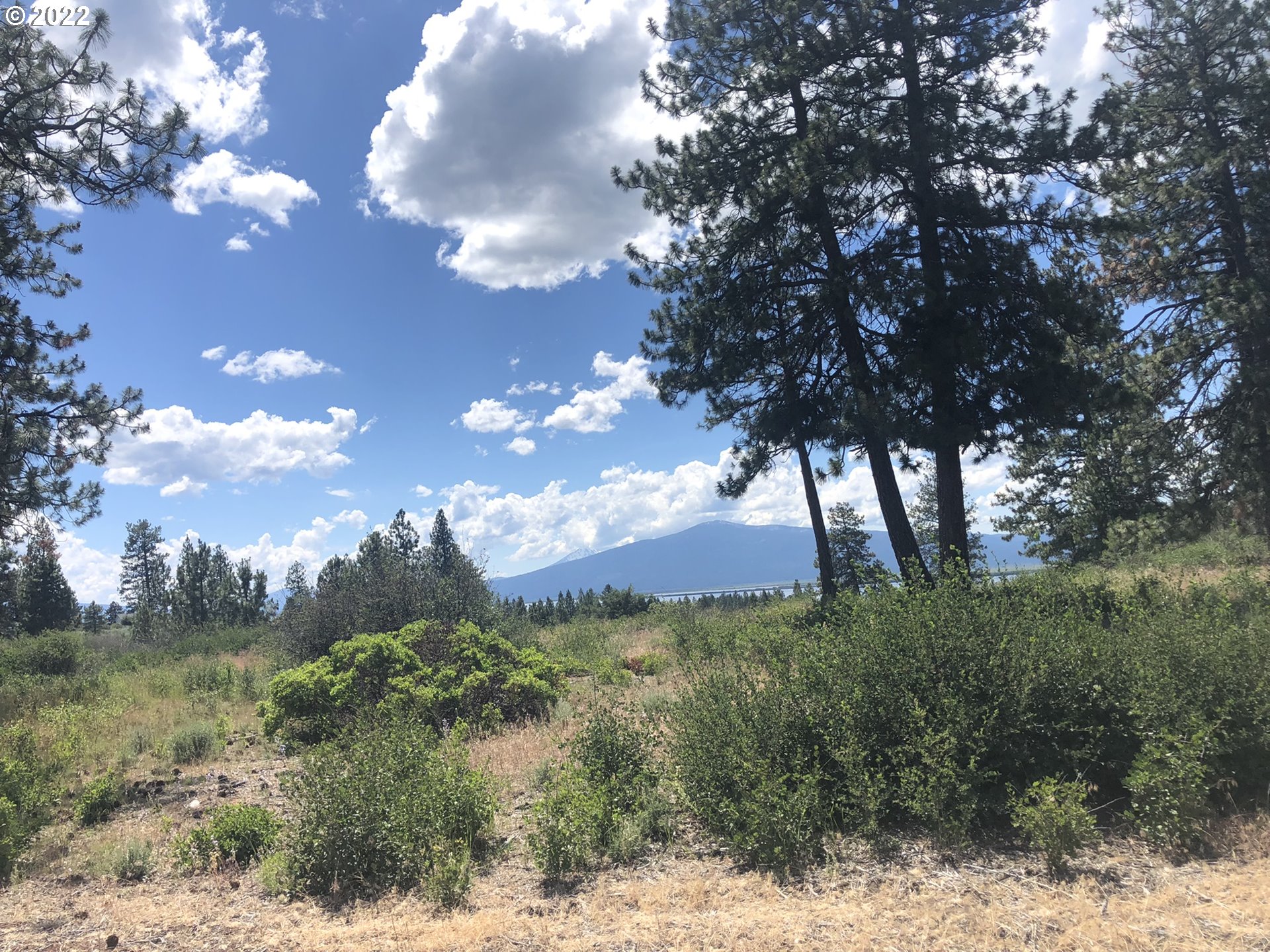 David Street, Unit 3 Chiloquin, OR 97624 - Photo 9 of 12 a view of a garden