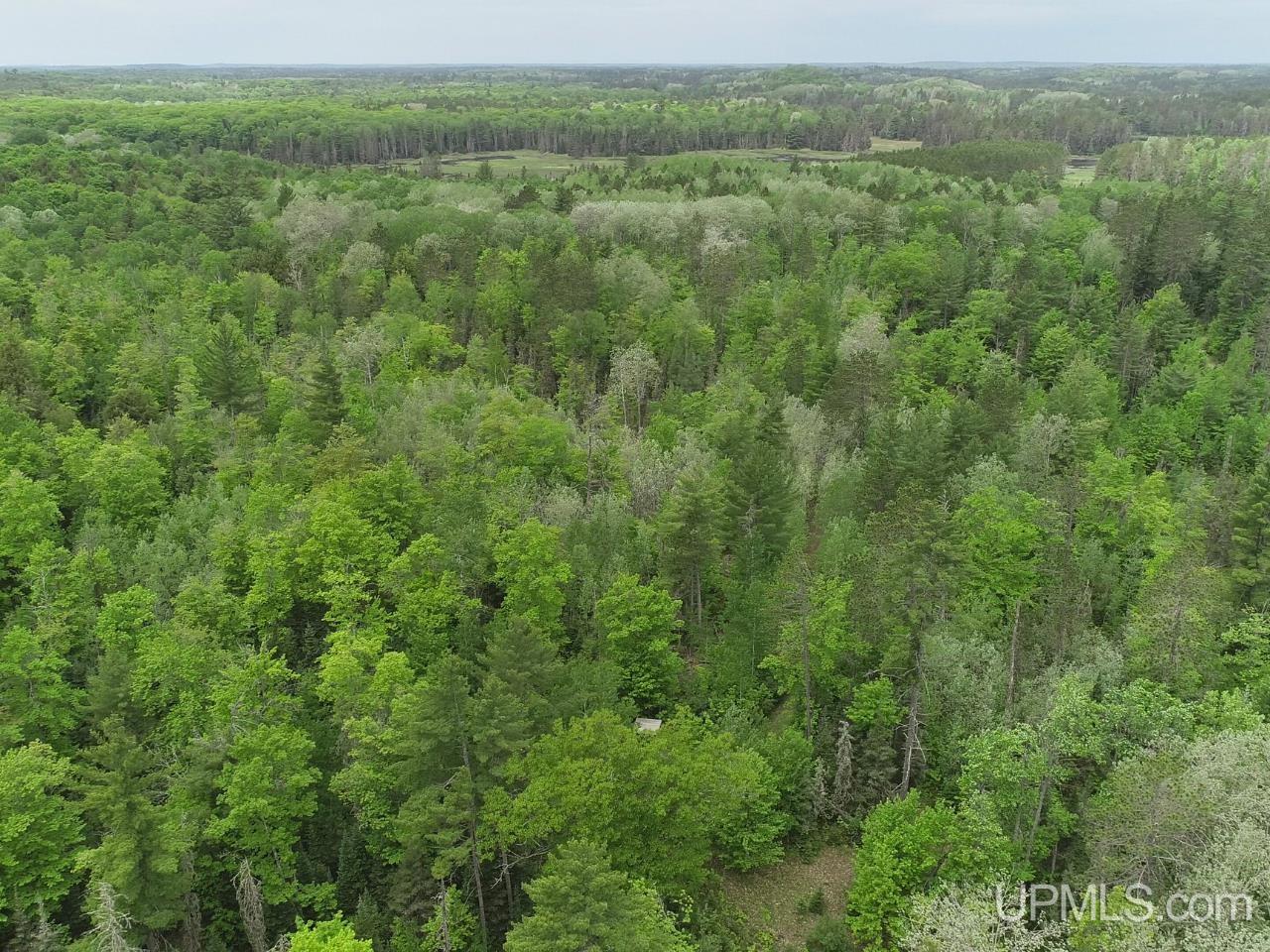 184 Marten Lake Road Iron River, MI 49935 - Photo 25 of 25