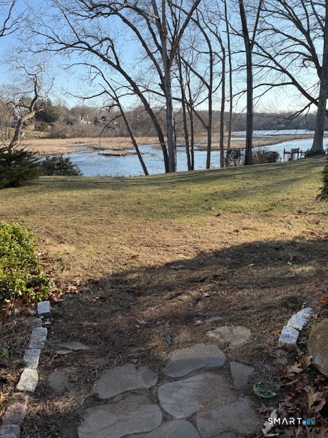 a view of a large body of water with a large tree