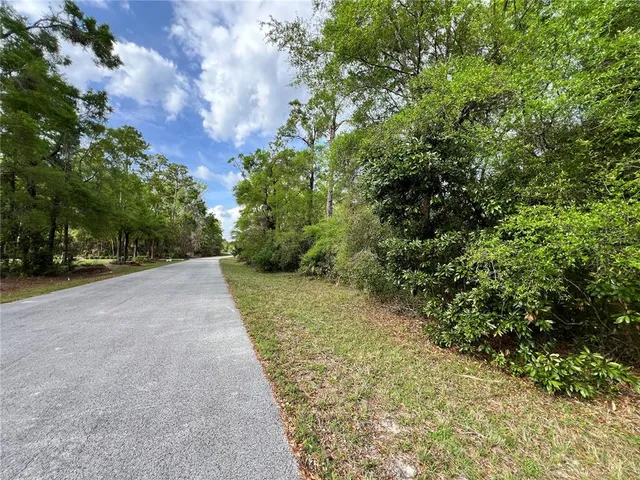 a view of a yard with plants and trees