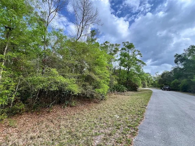 a view of a garden with plants