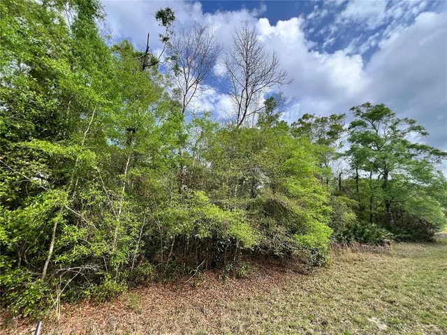 a backyard of a house with lots of green space