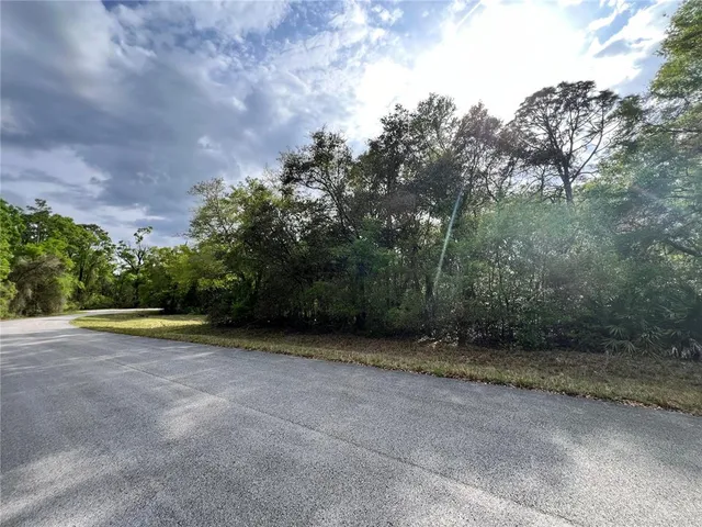 a view of an outdoor space with yard