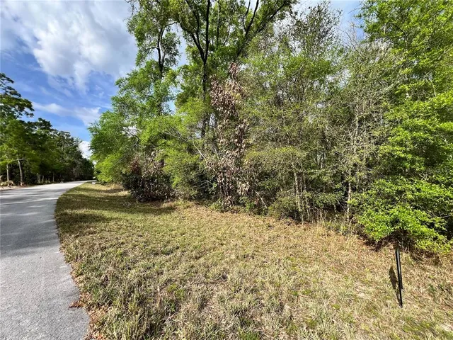 a view of a yard with an trees