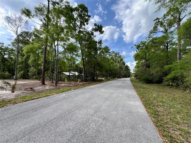 a view of a park with large trees