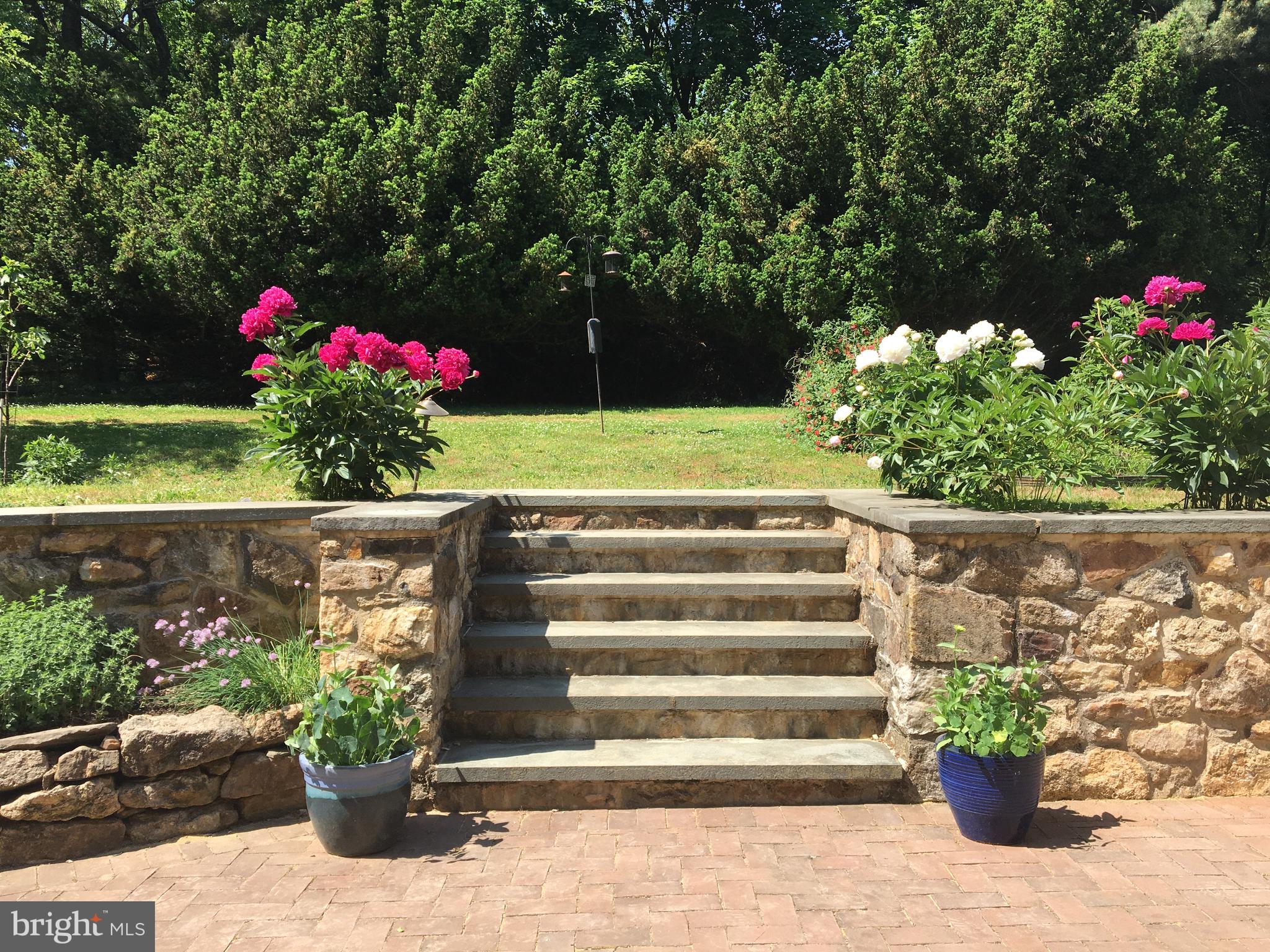 1439 Old Wilmington Road Hockessin, DE 19707 - Photo 42 of 57 a view of a garden with potted plants
