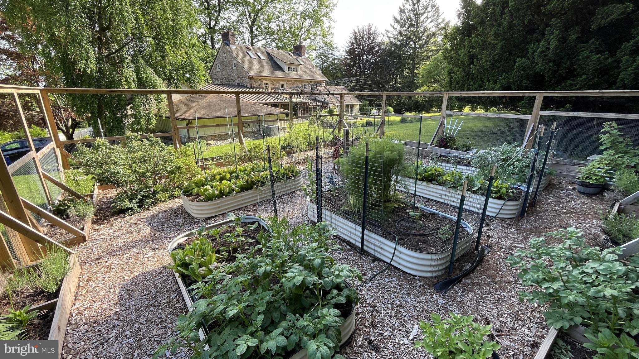 1439 Old Wilmington Road Hockessin, DE 19707 - Photo 48 of 57 a garden view with a potted plant