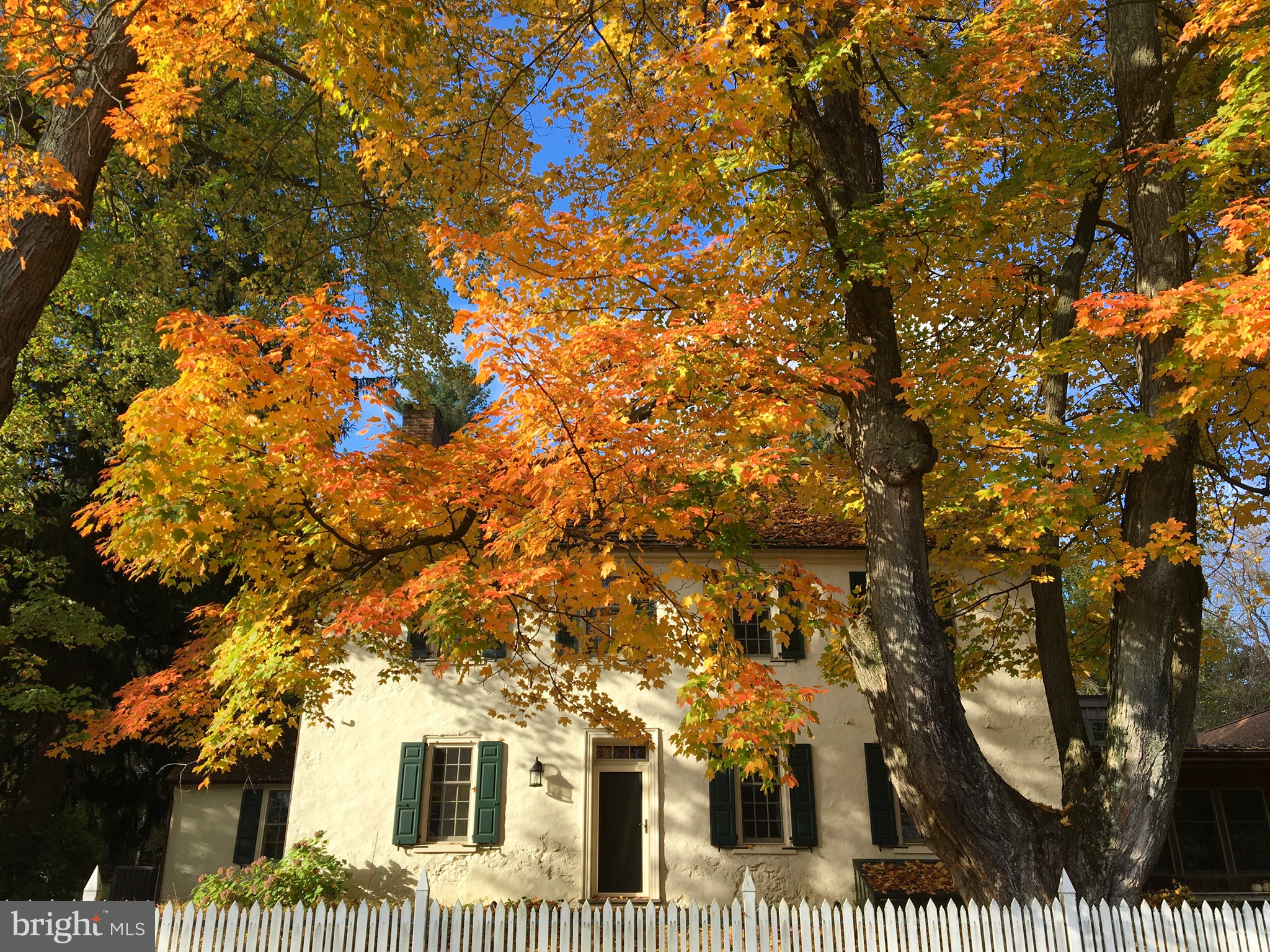 1439 Old Wilmington Road Hockessin, DE 19707 - Photo 5 of 57 a view of a large tree