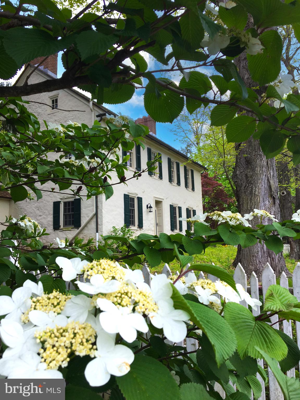 1439 Old Wilmington Road Hockessin, DE 19707 - Photo 7 of 57 a front view of a house with a yard and plants