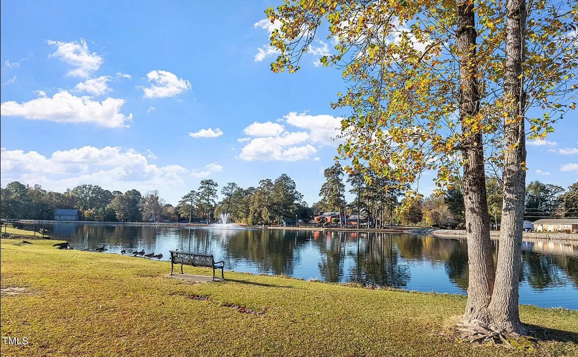 403 East Williams Street Angier, NC 27501 - Photo 31 of 38 a view of a lake with a mountain