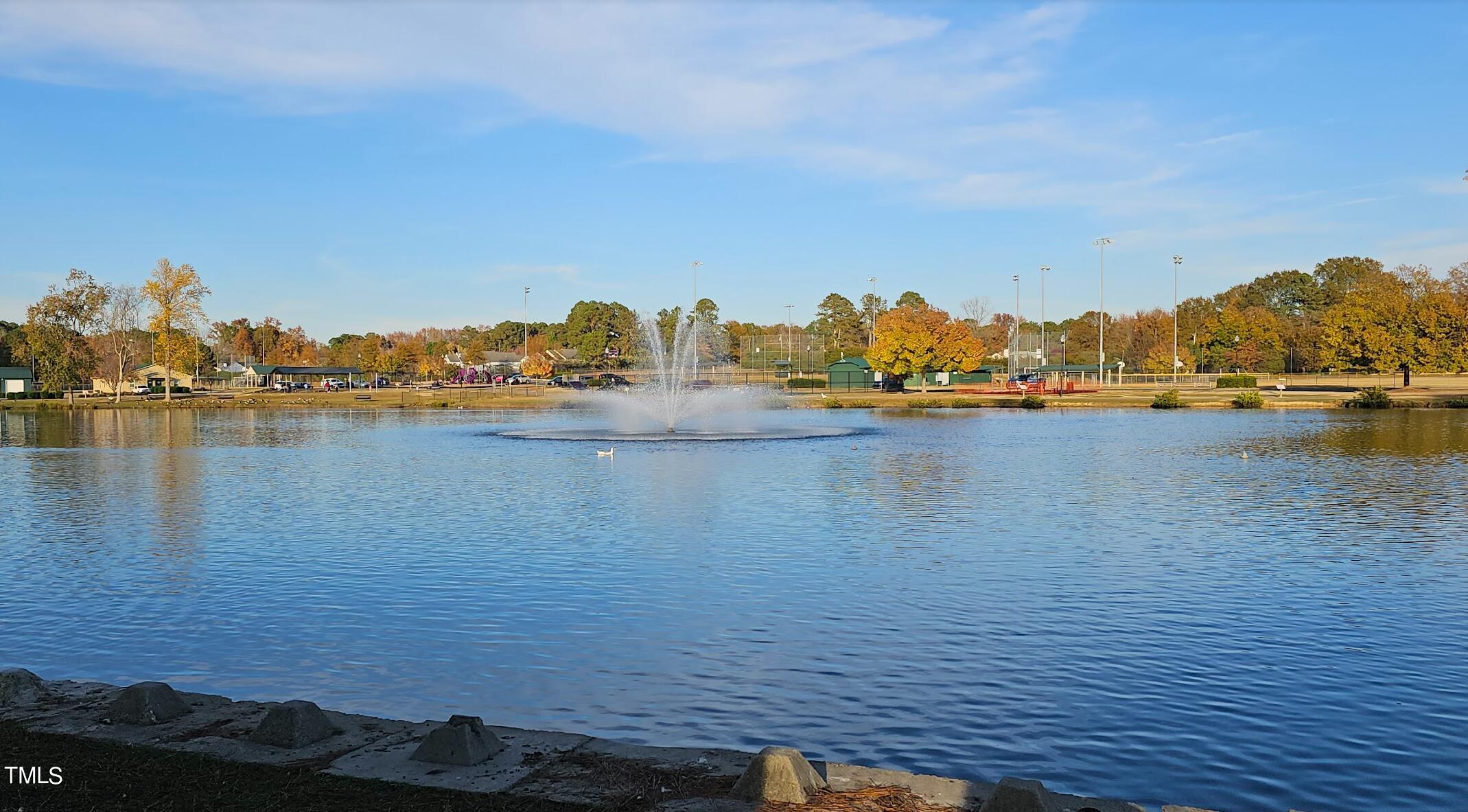 403 East Williams Street Angier, NC 27501 - Photo 32 of 38 a view of lake