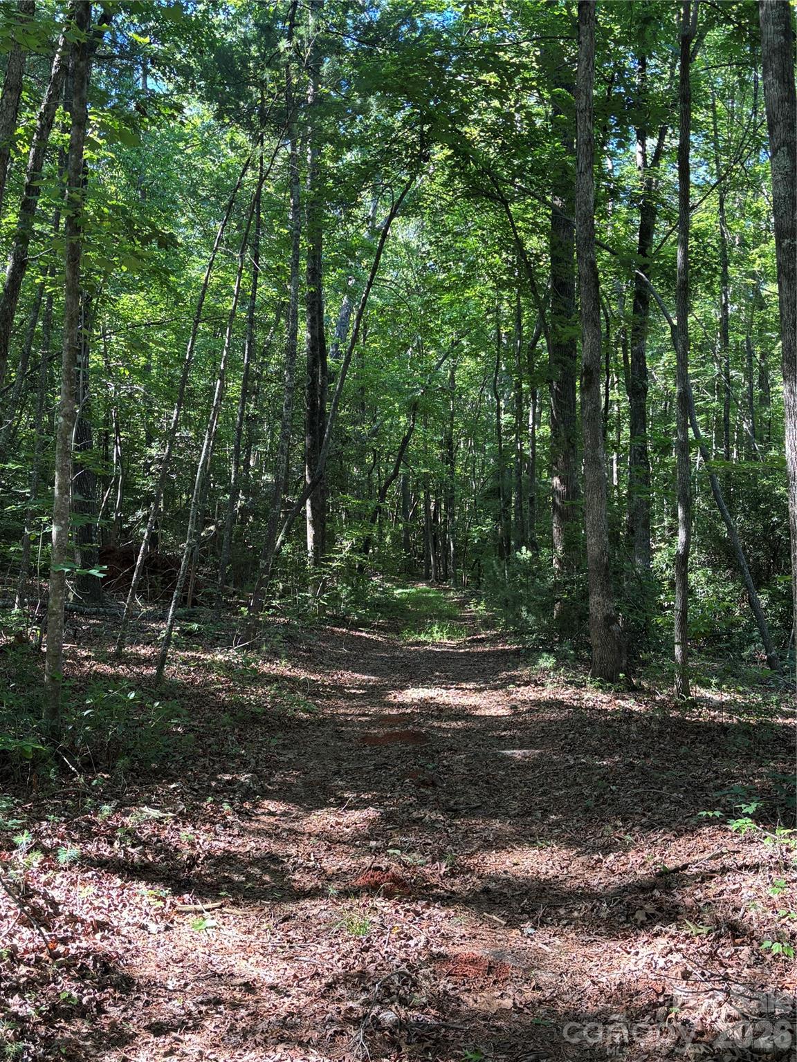 0 Stillwater Road Boomer, NC 28606 - Photo 31 of 33