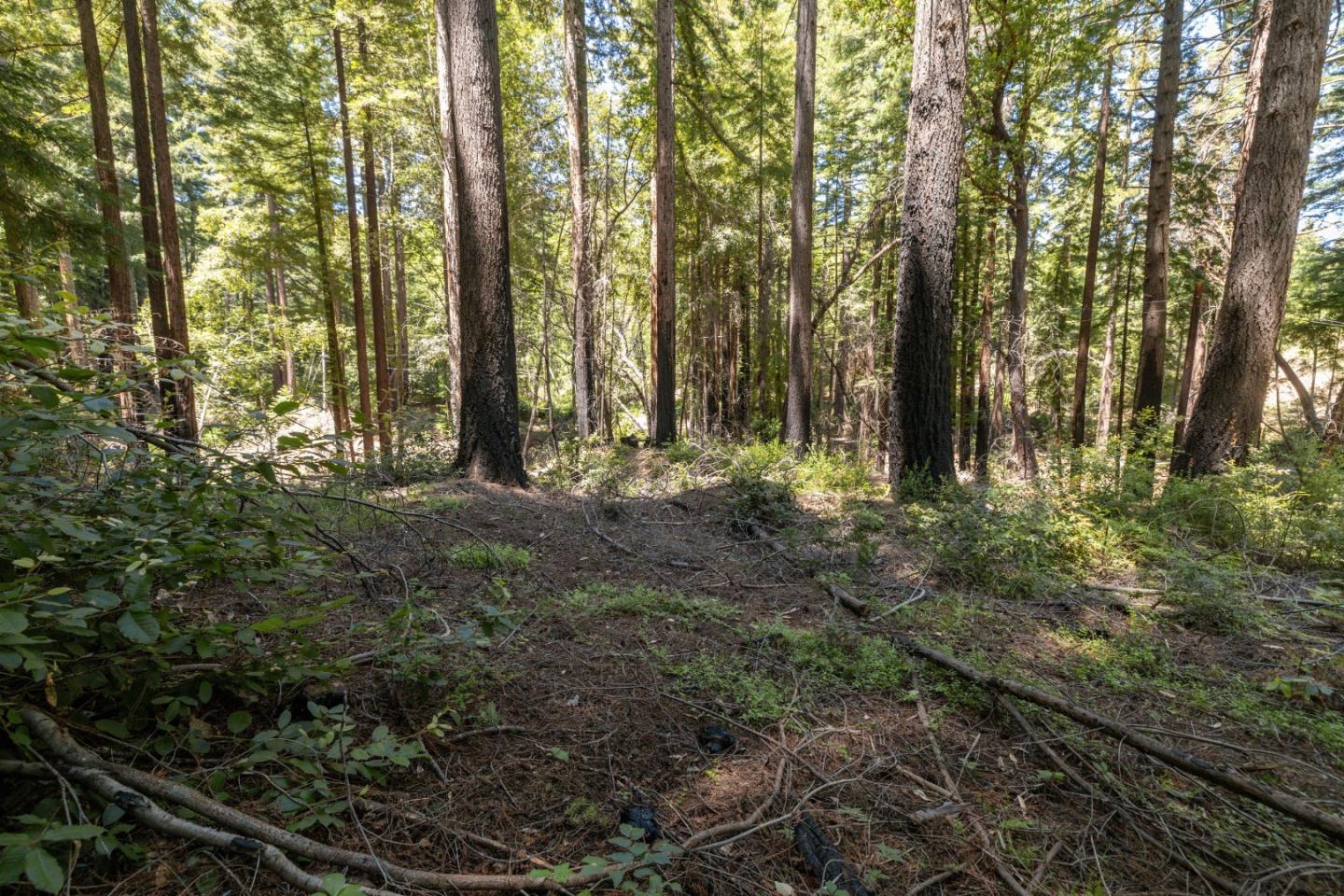 Lot 17 Branson Ranch Boulder Creek, CA 95006 - Photo 13 of 45 a view of outdoor space and green space