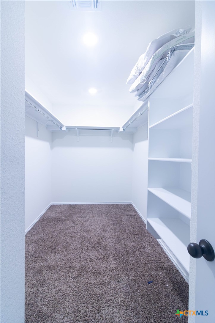 1131 Aronia Lane Georgetown, TX 78626 - Photo 28 of 36