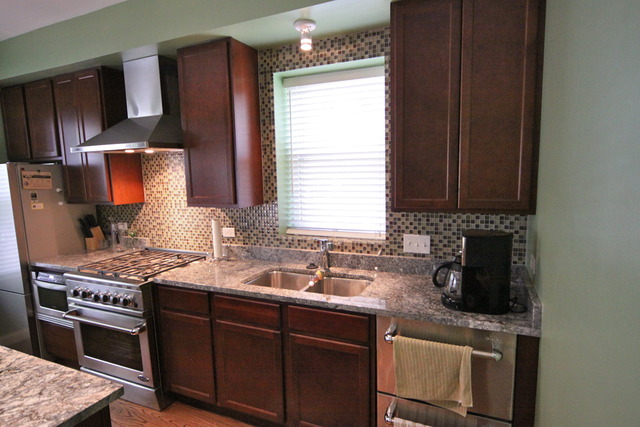1624 West Grace Street, Unit 1 Chicago, IL 60613 - Photo 3 of 22