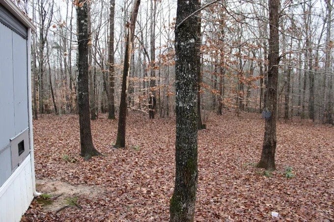 499 Owl Road Keysville, VA 23947 - Photo 18 of 20 Gallery Image 18