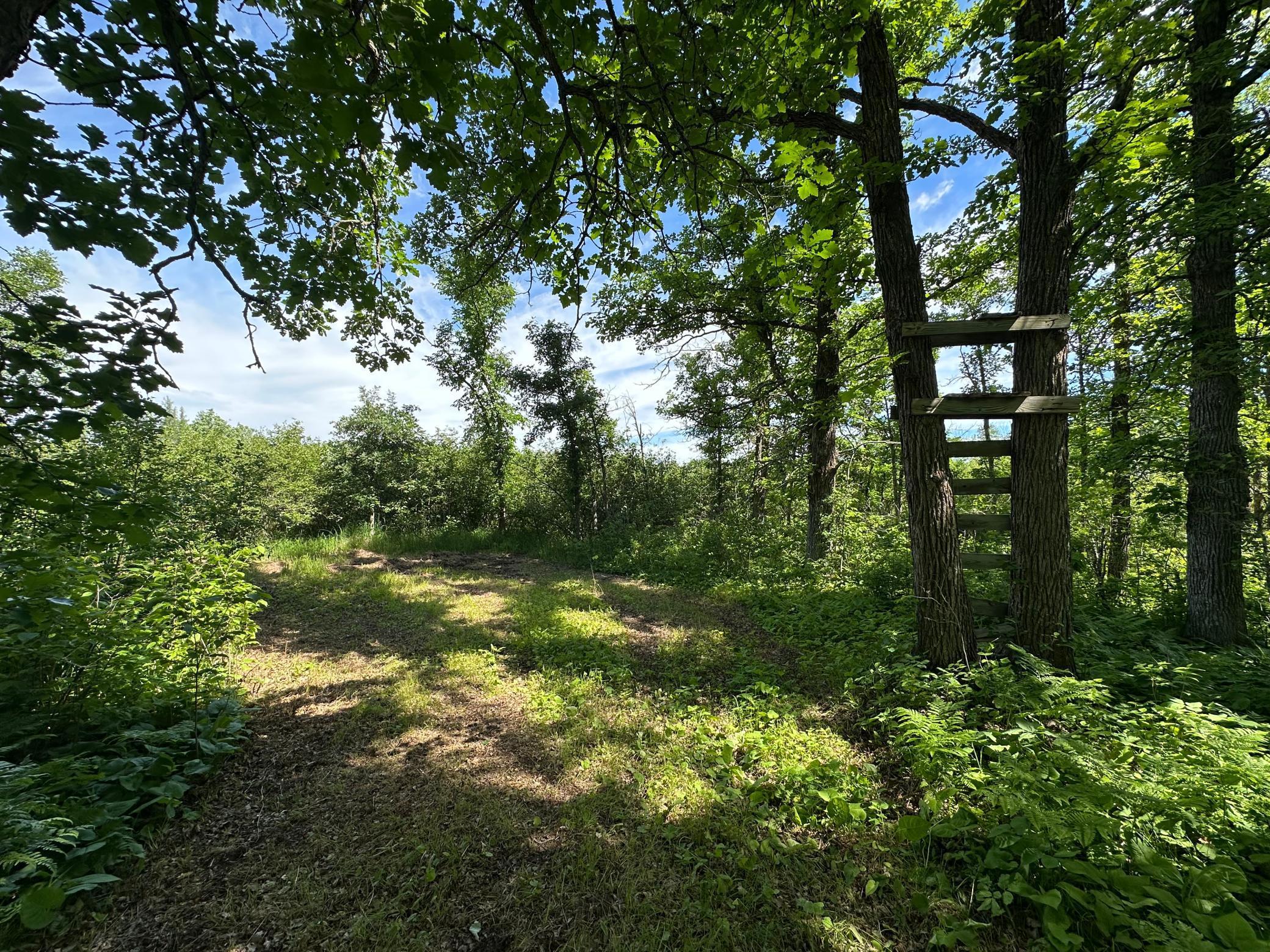 89225 Little Oak Lake Road Kerrick, MN 55756 - Photo 17 of 33