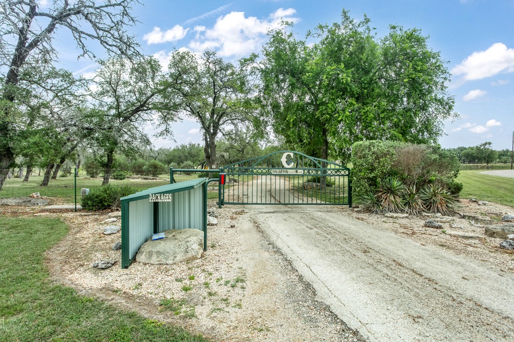 1320 Pass Creek Road East Center Point, TX 78010 - Photo 36 of 51 a view of a yard with plants and trees