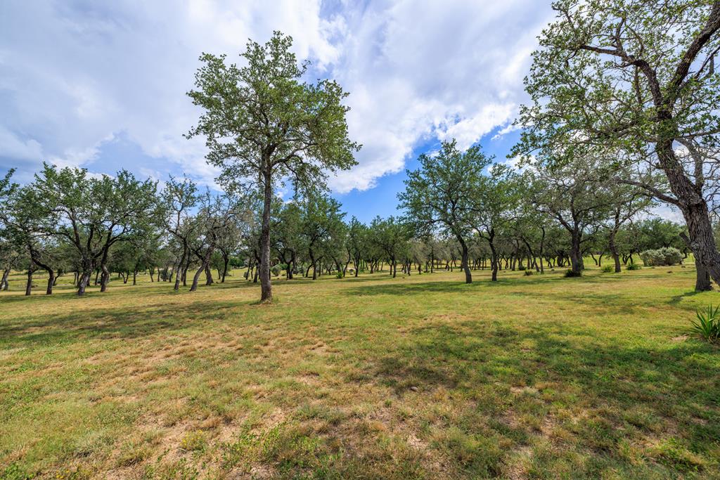 1320 Pass Creek Road East Center Point, TX 78010 - Photo 39 of 51