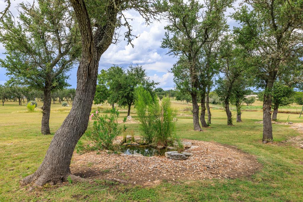 1320 Pass Creek Road East Center Point, TX 78010 - Photo 45 of 51 a view of a yard with a tree