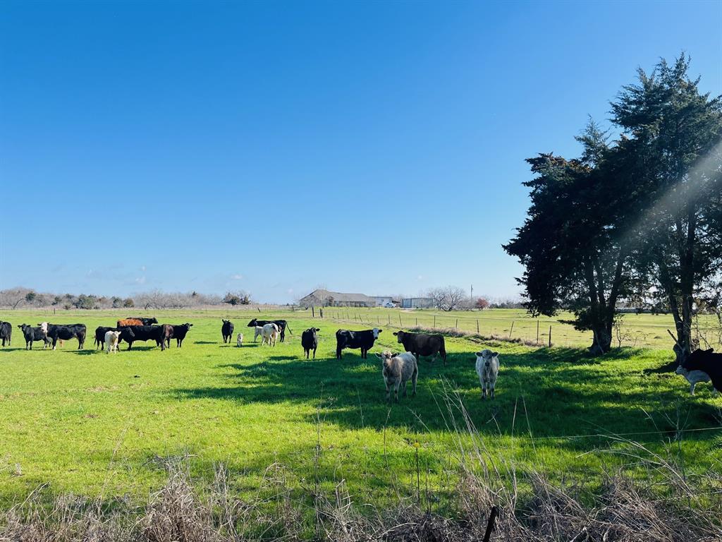 3 Acres Road Ennis, TX 75119 - Photo 4 of 5 a view of an ocean
