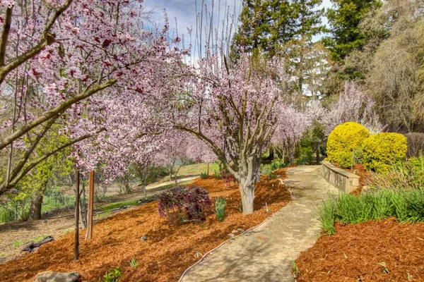 $3,400,000 | 2400 East Tiffany Lane, Sacramento, CA 95827