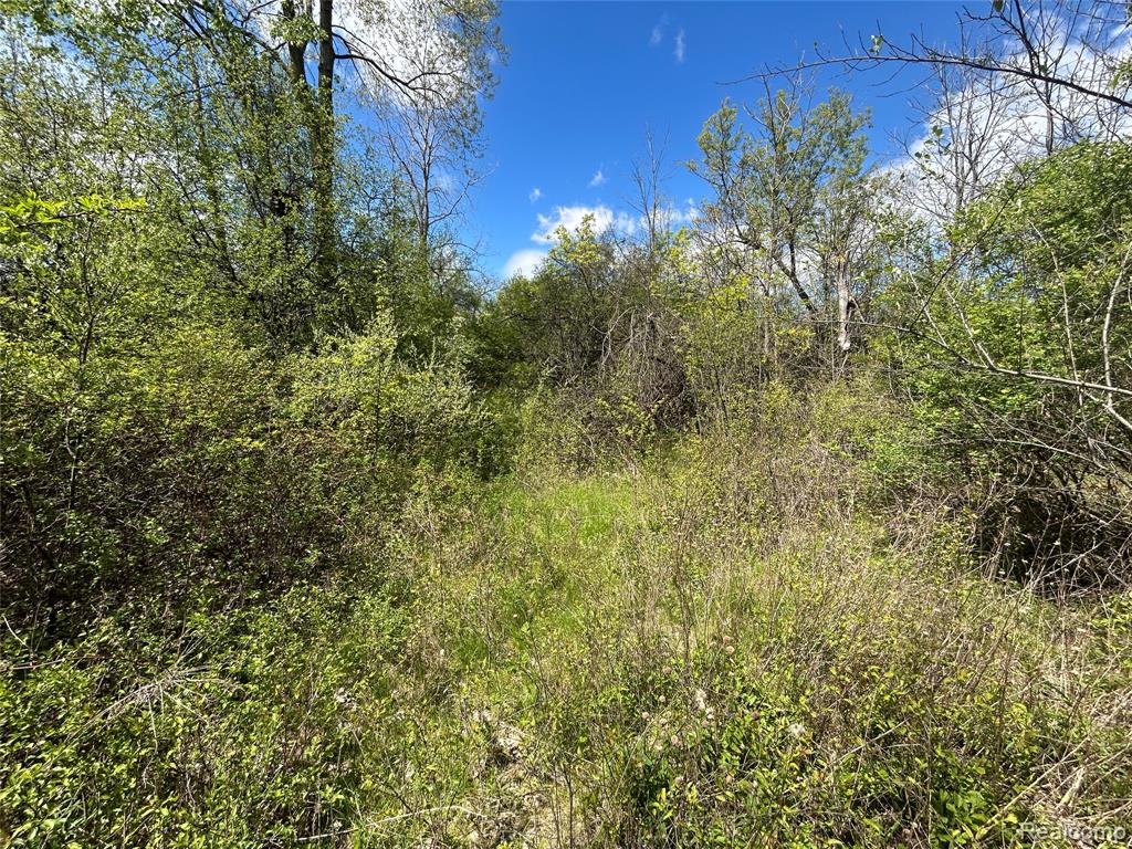 2356 South Dye Road Flint, MI 48532 - Photo 18 of 20