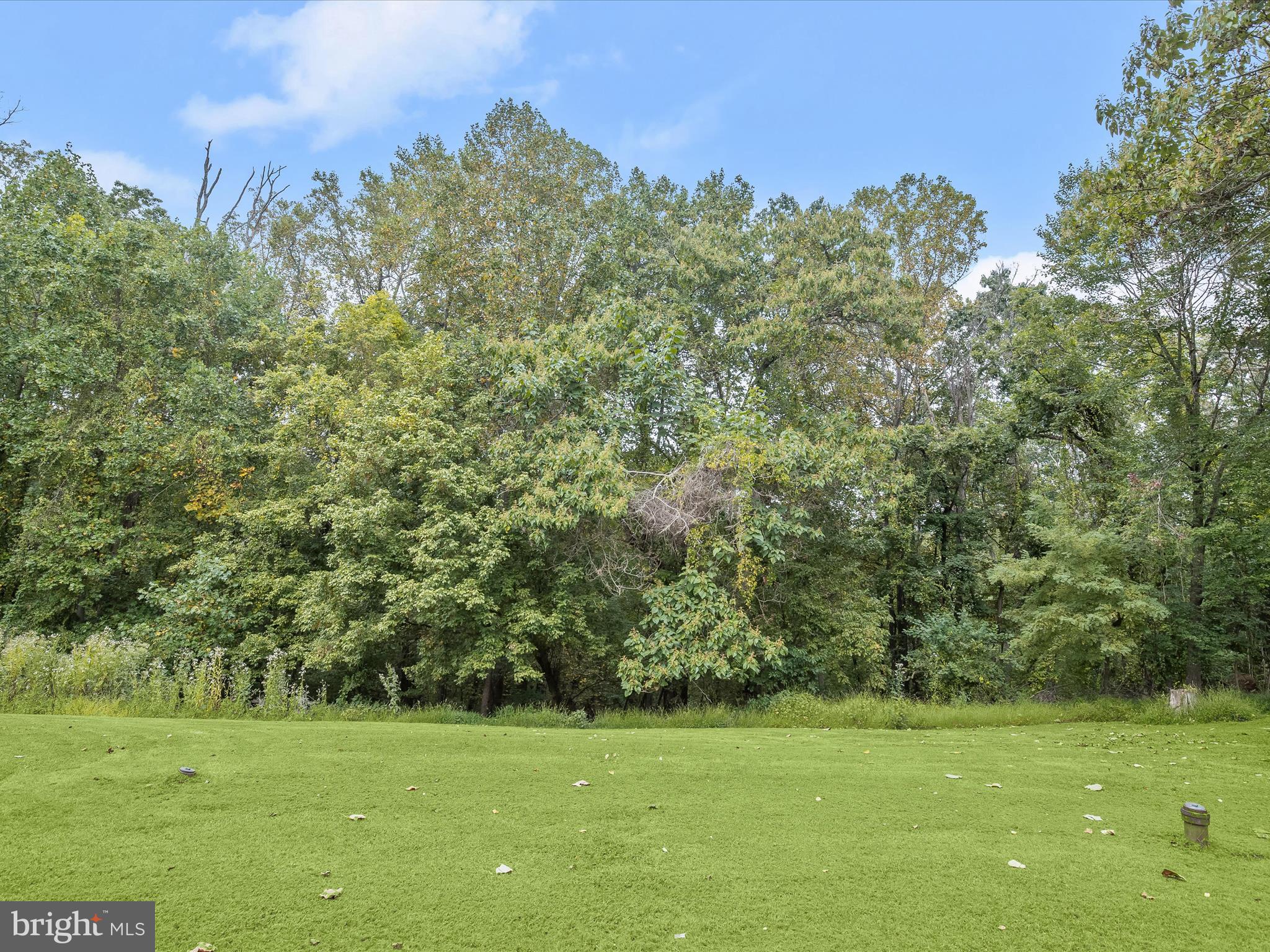 3900 Falls Run Road Randallstown, MD 21133 - Photo 52 of 58 Backyard