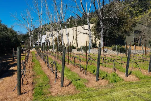 $15,500,000 | 1001 Silverado Trail South, St. Helena, CA 94574