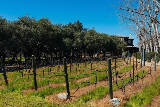 $15,500,000 | 1001 Silverado Trail South, St. Helena, CA 94574