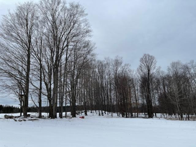 75-acres State Road Chase, MI 49623 - Photo 13 of 42 IMG_2438