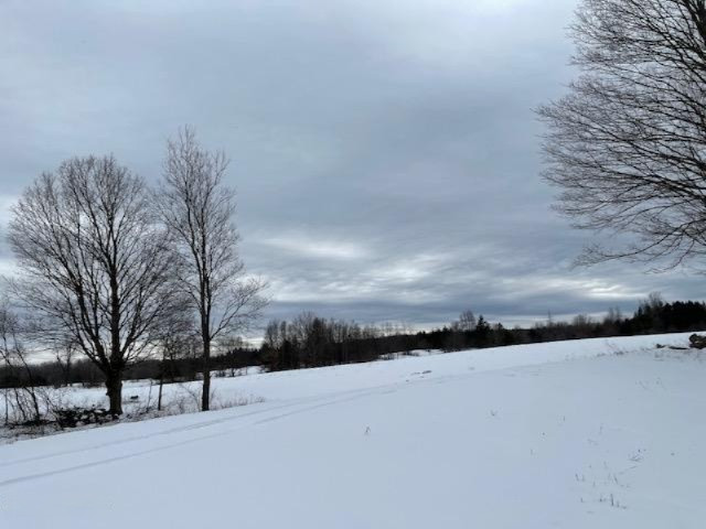 75-acres State Road Chase, MI 49623 - Photo 15 of 42 IMG_2441