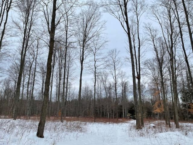 75-acres State Road Chase, MI 49623 - Photo 17 of 42 IMG_2445