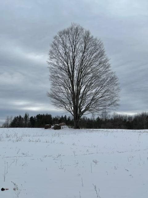 75-acres State Road Chase, MI 49623 - Photo 24 of 42 IMG_2453