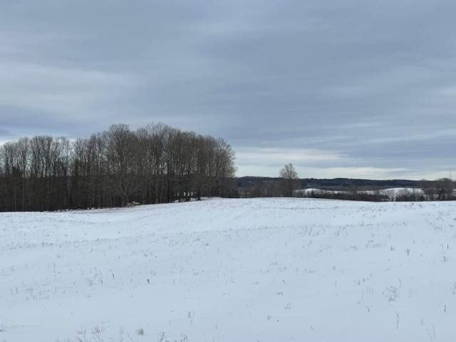75-acres State Road Chase, MI 49623 - Photo 25 of 42 IMG_2454