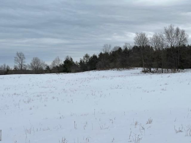 75-acres State Road Chase, MI 49623 - Photo 26 of 42 IMG_2455