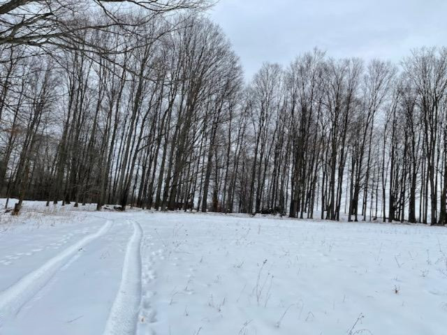 75-acres State Road Chase, MI 49623 - Photo 29 of 42 IMG_2458